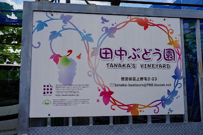 田中ぶどう園, 横浜